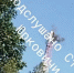 Подслушано Старые-Юрковичи - Сетевое издание Новости Брянска