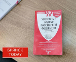 В Брянске бомж оставил пенсионерку без телевизора