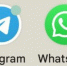 Брянцам сообщили причину неработающих звонков в Telegram и WhatsApp* - Сетевое издание Новости Брянска