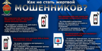 Брянская полиция предупреждает: на минувшей неделе жертвами дистанционных мошенников в городе стали 18 человек - УМВД по Брянску 