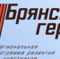 Наставниками для финалистов проекта «Брянские Герои» станут депутаты и заместители губернатора - БрянскToday.Ru