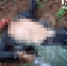 Показали пытавшихся прорваться на Брянщину через госграницу мертвых диверсантов - Брянский ворчун