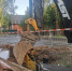 В Брянской области продолжают обновлять водопроводные сети - Bryansk.News