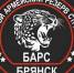 Добровольный отряд «БАРС-Брянск» отмечает первый год службы - БрянскToday.Ru