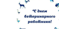 31 августа – День ветеринарного работника - Центр охраны здоровья животных