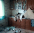 Пожарные Брянщины спасли жизнь пса из-за обстрелов ВСУ - Брянская улица
