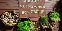 «Мираторг» инвестирует 1,5 млрд рублей в картофельный проект на Брянщине - БрянскToday.Ru