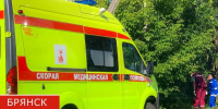 Авария под Мглином унесла жизнь водителя - БрянскToday.Ru