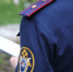 Бастрыкин ждёт доклад по делу об укушенной собакой 4-летней  девочки - Сетевое издание Новости Брянска
