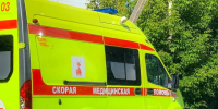 В Брянской области при атаке дронов-камикадзе ранена мирная жительница - БрянскToday.Ru
