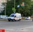 Укусила ребенка за палец: в Брянске крысу проверили на бешенство - БрянскToday.Ru