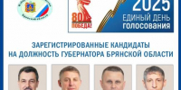 В Брянской области стартовали выборы губернатора - Телеканал Городской