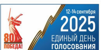 Стартовал второй день голосования в Брянской области - Единая Россия