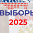 Завершился второй день голосования в Брянской области - Единая Россия
