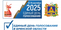 Дан официальный старт третьему дню голосования - Единая Россия