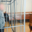 В Вязниках бизнесмен давал взятки врачу за информацию об умерших пациентах - Ракурс 32