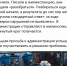 Почтовая улица в Брянске осенью 2025 года зарастает мусором - ИА Наш Брянск.ru