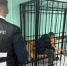 Ранее судимый житель поселка Навля Брянской области обвиняется в совершении нескольких преступлений - Следственный комитет