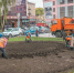 В Брянске под зиму посадят 105 тысяч луковиц тюльпанов - Комсомольская Правда