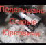 В Белой Берёзке смертоносный дрон «Бага-яга» атаковал мирных жителей - БрянскToday.Ru