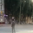 13 суток ареста влепили за танцы на “зебре” в центре Брянска позитивному рокеру - Брянский ворчун