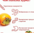 Польза хурмы - Роспотребнадзор