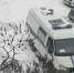 “Лента.ру”: на расстрел 5-й гимназии Брянска Алину нацелил вербовщик Антон - Брянский ворчун