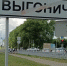 Дрон ВСУ сжёг под Выгоничами дотла дом, убив хозяйку, и ранил ее 14-летнюю дочку - Брянский ворчун