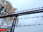 Напавшим на брянских росгвардейцев диверсантам ВСУ светит пожизненный срок