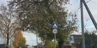 290 автомобилей в час: на брянской Плодородной подсчитали трафик с Мегаполиса - Сетевое издание Новости Брянска
