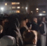 Застреленного в Брянске хаски Барсика будут вскрывать в Москве - Сетевое издание Новости Брянска