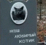 Как изменились правила захоронения животных в Брянской области - Брянская улица