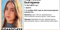 В Брянске ищут пропавшую 11-летнюю Катю Корнееву - Брянская улица
