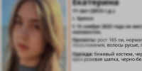 В Брянске завершились поиски пропавшей 11-летней девочки - БрянскToday.Ru