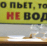 В Брянске автоинспекторы устроят «охоту» на пьяных водителей - Комсомольская Правда