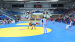 17 den sambo