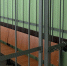 Житель Астрахани провернул аферу в брянском магазине - ИА Наш Брянск.ru