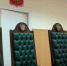 Брянский суд вынес приговор за незаконную вырубку леса на сумму свыше 200 тысяч рублей - Bryansk.News