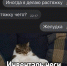 Вставай на лыжи 1 января – ЗОЖ рулит: брянцы меньше дарят конфеты на Новый год - Брянский ворчун