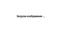 Состоялась прямая линия Губернатора Брянской области Александра Богомаза - Администрация области