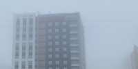 22 ноября в Брянской области ожидается усиление ветра, дожди и туман - Bryansk.News