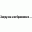 Продукция Жуковского веломотозавода снова стала брендом года - Администрация области