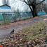 «До -6 градусов и без осадков»: брянцам сообщили о погоде на 29 ноября - БрянскToday.Ru