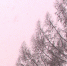5 copy copy copy copy copy 1326x746 copy - ГТРК