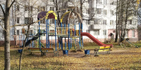 В Брянске из бюджета выплатят компенсацию за нападение стаи собак на девочку - БрянскНОВОСТИ.RU