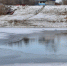 На водоемах Брянской области начался опасный период ледостава - Bryansk.News