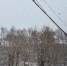 13 декабря в Брянской области ожидаются сильный ветер и гололедица - Bryansk.News