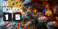 До Нового года осталось 15 дней! Как подготовиться к главному празднику зимы без происшествий? - МЧС