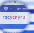 Госуслуги упрощают подачу заявлений - УФССП