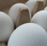 ФАС запретила брянским магазинам поднимать цены на социально значимые продукты - Сетевое издание Новости Брянска